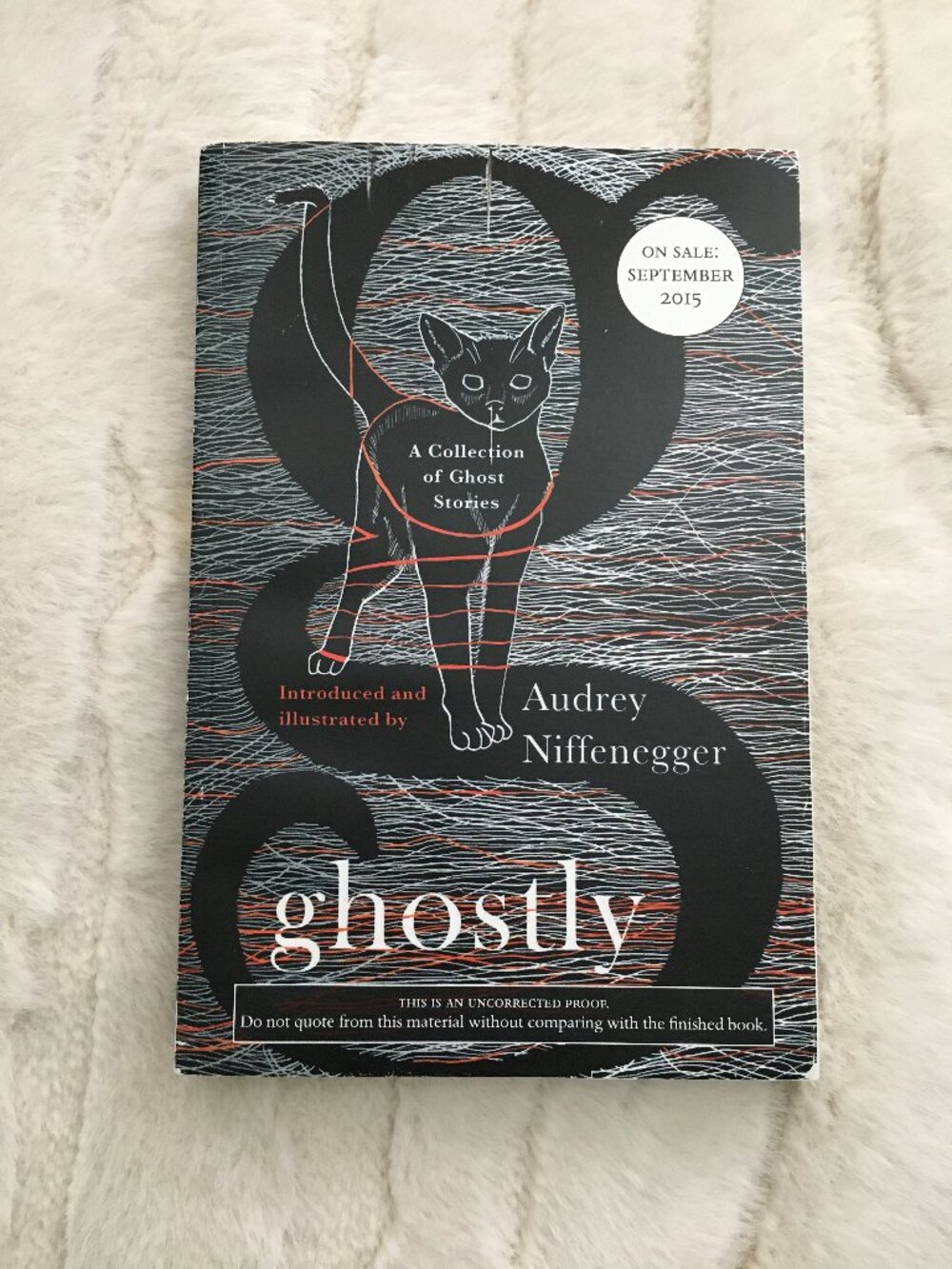 VTG 'Ghostly' Paperback First Original Draft Copy By Audrey Niffenegger Rare